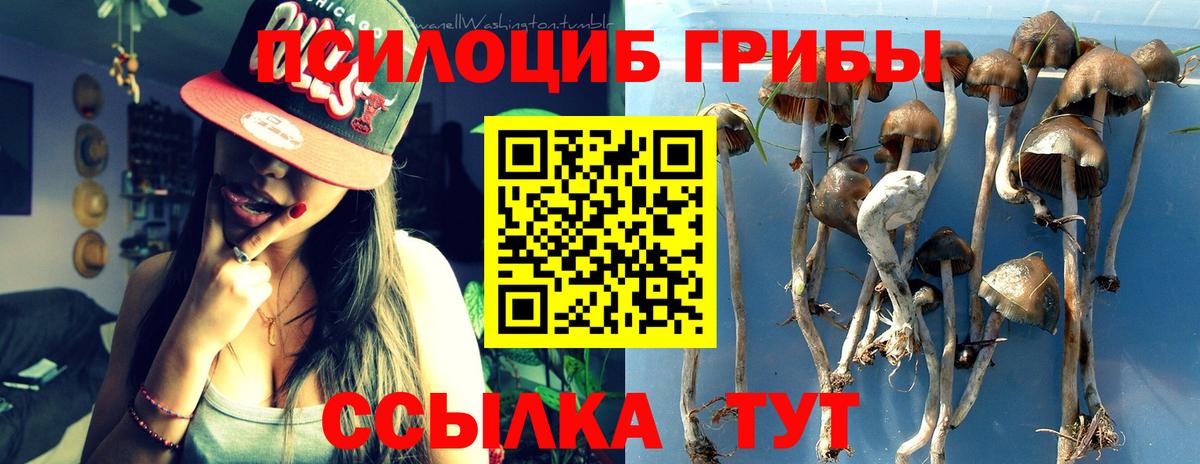 Реж  Галлюциногенные грибы GOLDEN TEACHER  Вход с VPN 